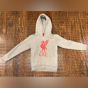 Liverpool F.C. Youth Gray Hoodie with Red Crest